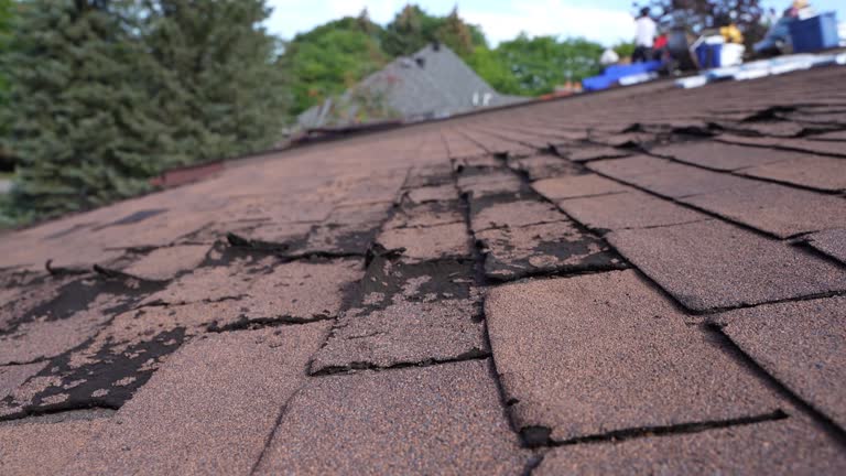 Trusted Alexandria Bay, NY Roofing Experts